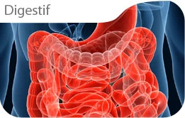 digestif fr